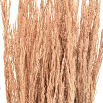 Itens Grama Vermelha Torta Agrostis Grama Seca Vermelho Marrom 65cm 80g