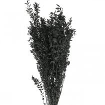 Ramos de Ruscus ramos decorativos flores secas pretas 200g