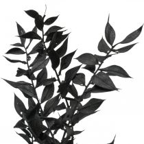 Ramos de Ruscus ramos decorativos flores secas pretas 200g