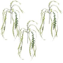 Itens Folha de Serra Artificial Cacto Epiphyllum anguliger L68cm 3 un