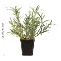 Itens Sálvia em vaso Salvia Lavandulifolia Artificial H25cm