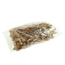 Itens Salignum light 4-6 flores no ramo Leucadendron 100 peças