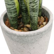 Cânhamo de arco artificial, planta verde em vaso, Sansevieria H39cm Ø12cm