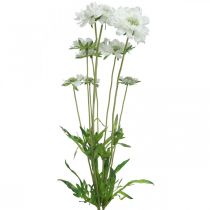 Flor artificial escabiosa flor de jardim branca H64cm monte com 3 peças