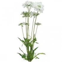 Itens Flor artificial escabiose flor de jardim branca ramo H64cm com 3 peças