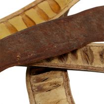Itens Vagem Scaletta natural 25cm - 50cm 25 un