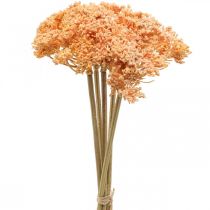 Itens Yarrow artificial flores artificiais laranja 50 cm 5 peças em cacho