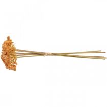 Itens Yarrow artificial flores artificiais laranja 50 cm 5 peças em cacho