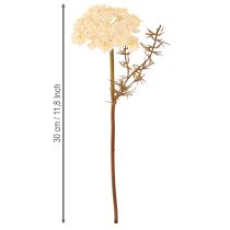 Itens Creme artificial de mil-folhas Achillea flores artificiais 30cm 6 peças
