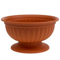 Itens Tigela com base terracota Ø35cm