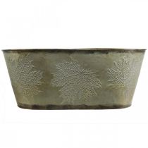 Itens Vaso de outono, tigela para plantas com folhas, decoração em metal dourado C38cm Alt.15cm