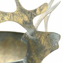 Itens Tigela com cabeça de rena metal antigo dourado Ø14cm