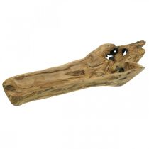 Tigela decorativa de madeira Paulownia, bandeja de flores, vaso de madeira C58cm A7–8cm