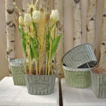 Itens Vaso de flores feito de tigela de metal com alças verde, branco, cinza C24cm Alt.14,5cm 3 unidades