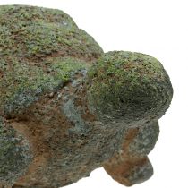 Estatueta de jardim tartaruga musgosa 30cm x 18cm Alt.15cm