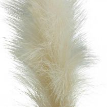 Grama de penas creme de junco chinês grama seca artificial 100 cm 3 peças