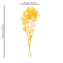 Itens Buquê de flores secas com gipsofila. Galhos floridos decorativos, ideais para enfeitar mesas em diferentes épocas do ano. 70 cm