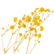 Itens Buquê de flores secas com gipsofila. Galhos floridos decorativos, ideais para enfeitar mesas em diferentes épocas do ano. 70 cm