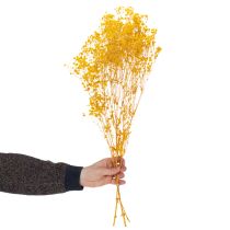 Itens Buquê de flores secas com gipsofila. Galhos floridos decorativos, ideais para enfeitar mesas em diferentes épocas do ano. 70 cm