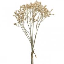 Itens Creme Gypsophila Artificial Gypsophila 46cm cacho de 3 peças