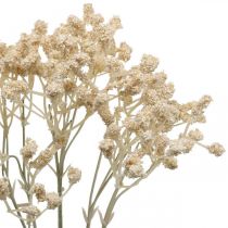 Itens Creme Gypsophila Artificial Gypsophila 46cm cacho de 3 peças