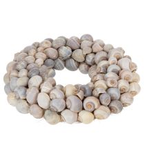 Itens Guirlanda de caracol para pendurar, guirlanda decorativa, estilo marítimo, Nathai, Ø35cm