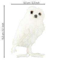 Itens Coruja da neve coruja decorativa branca com pelo e penas 15,5 cm 2 unidades