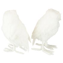 Itens Coruja-das-neves decorativa branca com pelos e penas, 15,5 cm, 2 peças