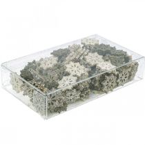 Itens Flocos de neve mix de glitter madeira Ø2cm 144p