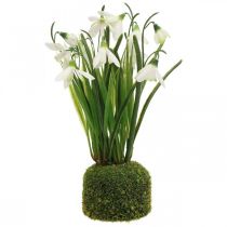 Snowdrop artificial, flor artificial snowdrop 25cm