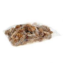 Itens Pinhas pretas decorativas creme 5-8cm 1kg