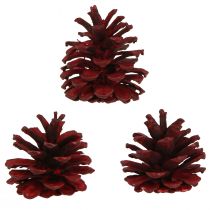 Itens Pinhas pretas Cones decorativos Bordeaux vermelhos 6-8cm 6 un