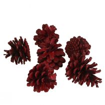Itens Pinhas pretas Cones decorativos Bordeaux vermelhos 6-8cm 6 un