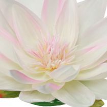 Itens Nenúfares flutuantes decoração de mesa artificial branca, rosa Ø15cm 2 unidades
