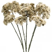 Itens Sedum flor artificial sedum creme flor decoração outono 70 cm 3 unidades