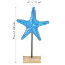 Itens Decoração estrela do mar sobre base madeira azul natural marítima H25cm