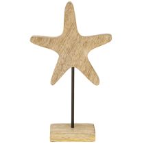 Itens Decoração estrela do mar sobre base madeira azul natural marítima H25cm