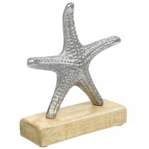 Estrela do mar de metal, decoração marítima, escultura decorativa prata, cores naturais H18cm