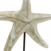 Estrela do mar para colocar, decoração em madeira marítima cor natural, branco H23,5cm