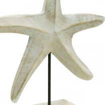 Estrela do mar de madeira, escultura decorativa marítima, decoração marinha natural, branco H28cm