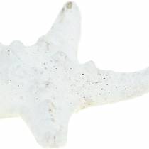 Itens Knobs Starfish White 30pcs
