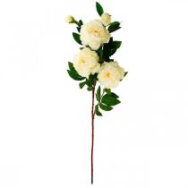 Itens Flor de seda peônia artificial creme branco 135cm
