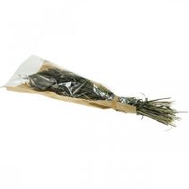 Itens Flores secas Setaria Antracite Cerdas Naturais Cacho 100g
