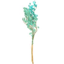 Itens Folha prateada seca Lunaria azul claro 65-70cm 20g