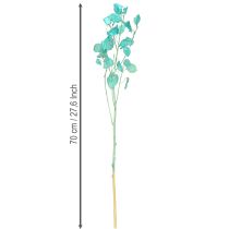 Itens Folha prateada seca Lunaria azul claro 65-70cm 20g
