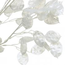 Ramo decorativo folha de prata branca Ramo Lunaria Ramo artificial 70cm