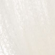 Itens Flores secas, capim prateado. Decoração natural elegante para casa e escritório. 70 cm, 10 peças.