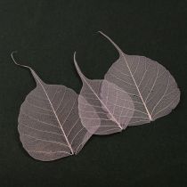 Itens Folhas esqueléticas Bodhi folhas esqueletizadas roxas 5-15 cm 200 unidades