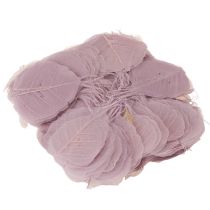 Itens Folhas de Bodhi esqueletizadas para decorações criativas