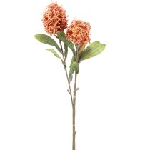 Itens Skimmie Skimmia Japonica Flores Artificiais Laranja DryLook L59cm